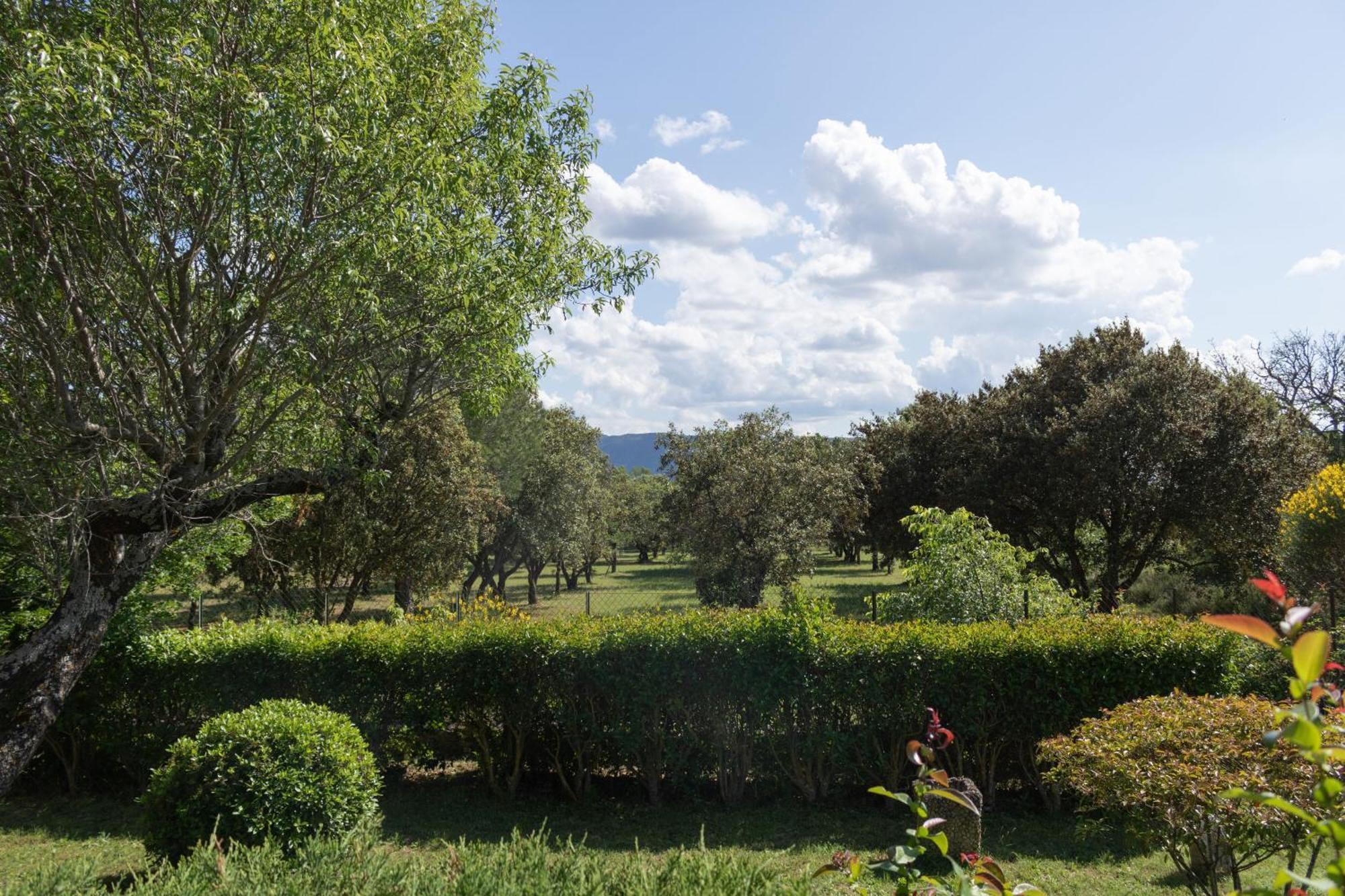 Villa Provencale Face Au Luberon Cabrières-dʼAvignon Eksteriør bilde